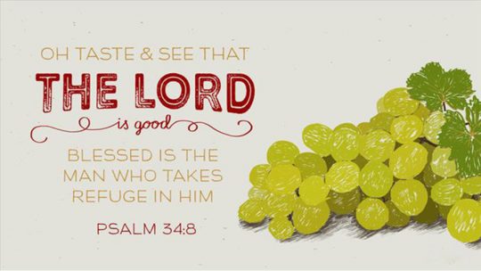 Daily Verse October 8th, 2024