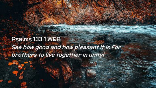 Daily Verse November 5th, 2024