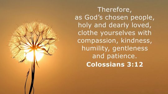 Daily Verse November 9th, 2024