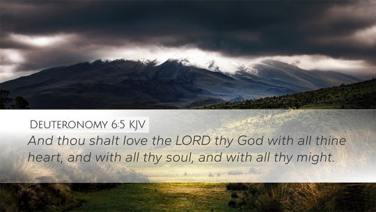 Daily Verse November 22nd, 2024