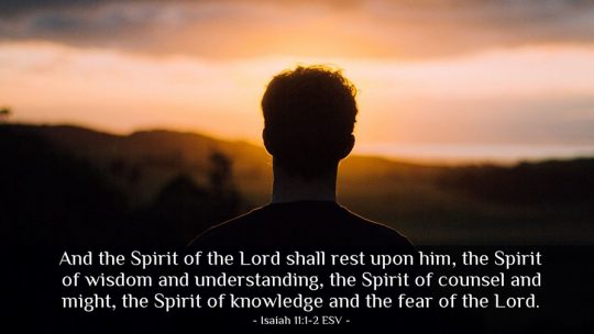 Daily Verse December 14th, 2024