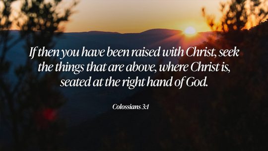 Daily Verse December 29th, 2024