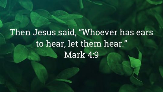 Daily Verse January 28th, 2025